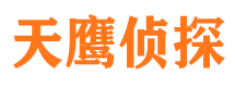 代县市侦探